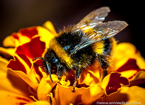 You can also follow me on Flickr
