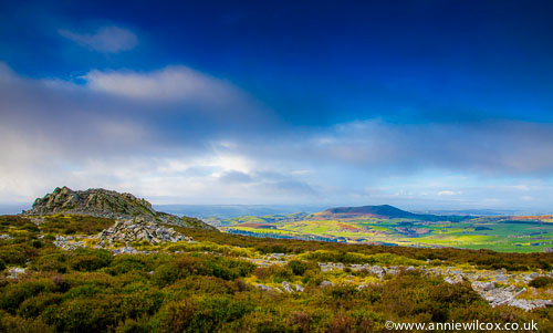 Shropshire Beauty