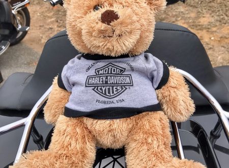Harley-Davidson bear