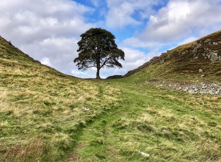 Annie Wilcox Photography Northumberland Sycamore Gap